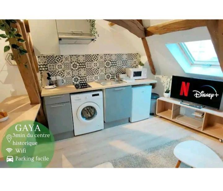 Apartament Gaya - 150M De L'Hypercentre - Parking Gratuit Auxerre Zewnętrze zdjęcie